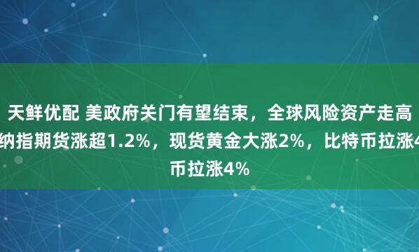 天鲜优配 美政府关门有望结束，全球风险资产走高，纳指期货涨超1.2%，现货黄金大涨2%，比特币拉涨4%