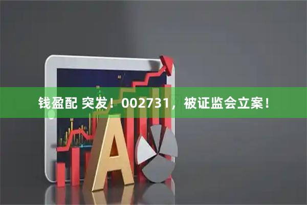 钱盈配 突发！002731，被证监会立案！