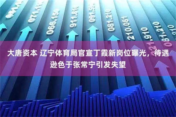 大唐资本 辽宁体育局官宣丁霞新岗位曝光，待遇逊色于张常宁引发失望