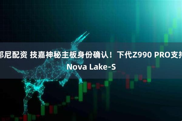 邦尼配资 技嘉神秘主板身份确认！下代Z990 PRO支持Nova Lake-S